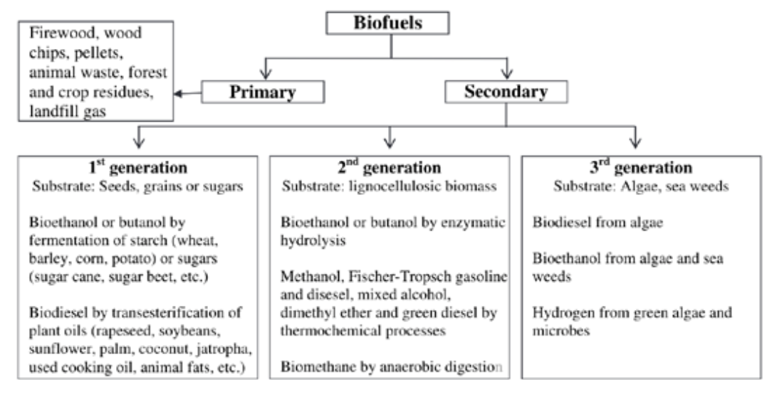 FIGURE 2.1 Classification of biofuels