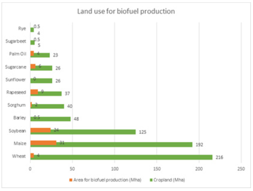 FIGURE 3.2. Total Cultivated area used to produce Crops for Global Biofuel Production (OECD, USDA, Oil World (2018))