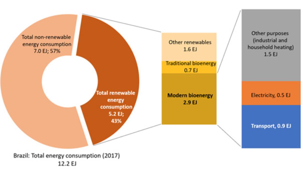 FIGURE 4.5 Bioenergy in the Brazilian Energy Matrix