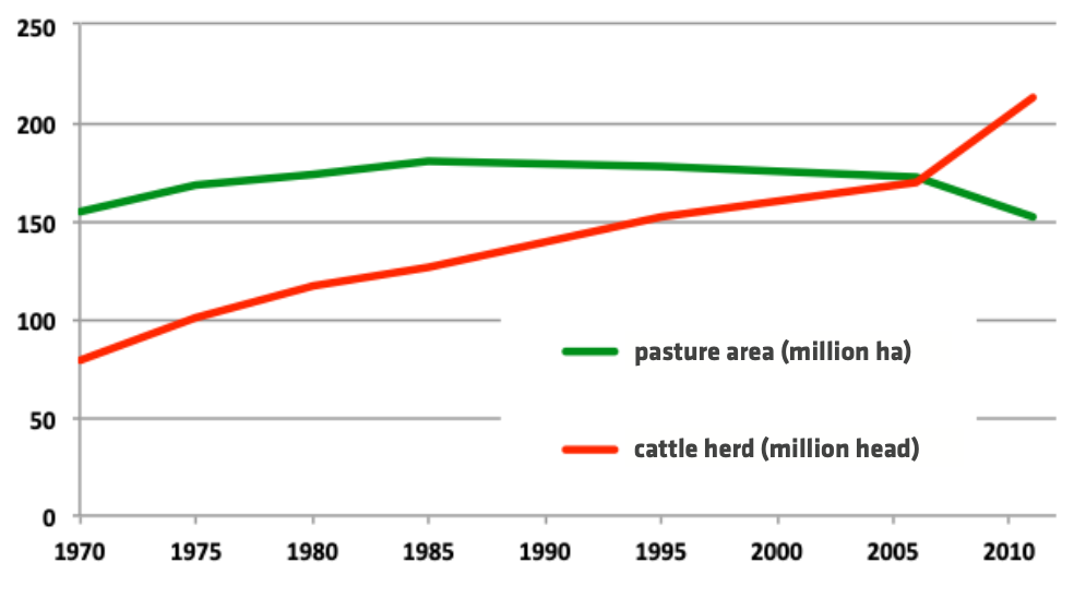 FIGURE 4.6 Evolution of pasture area and cattle herd in Brazil
