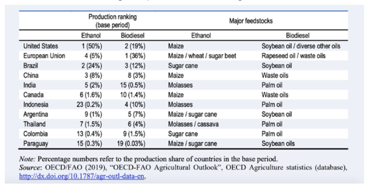 TABLE 1.1. Biofuel Production Ranking and Key Feedstocks (OECD/FAO, Agricultural outlook 2019-2028).