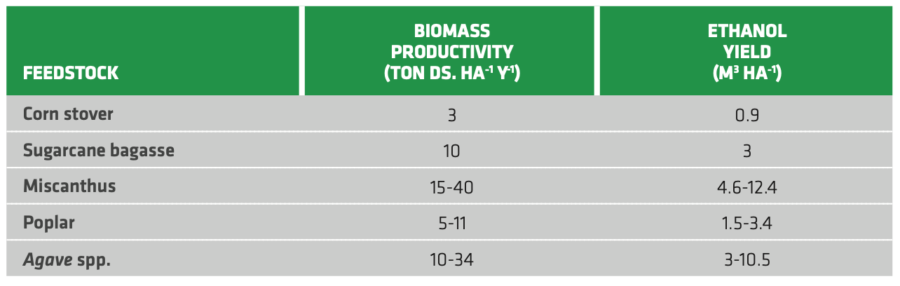 TABLE 2.5. Biomass productivity (as tons of dry solids per hectare per year) and ethanol yield for some relevant 2G feedstocks